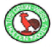 TSV Wendezelle 1