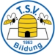 TSV Bildung Peine 7er